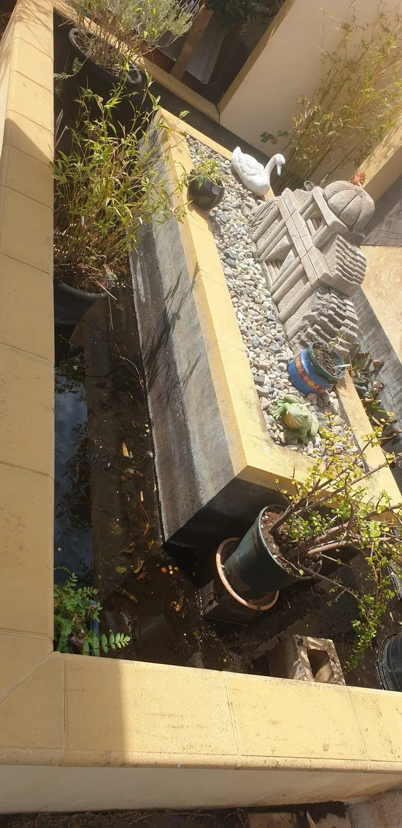 fish pond house painters toowoomba fish pond house painters toowoomba
