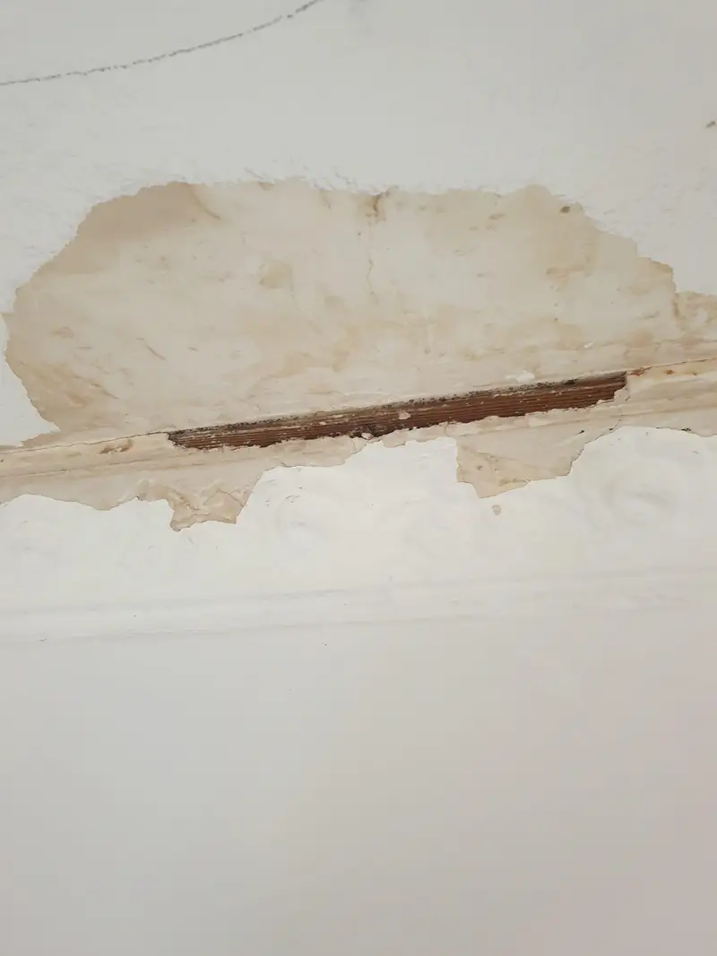 house ceiling repaint toowoomba house ceiling repaint toowoomba