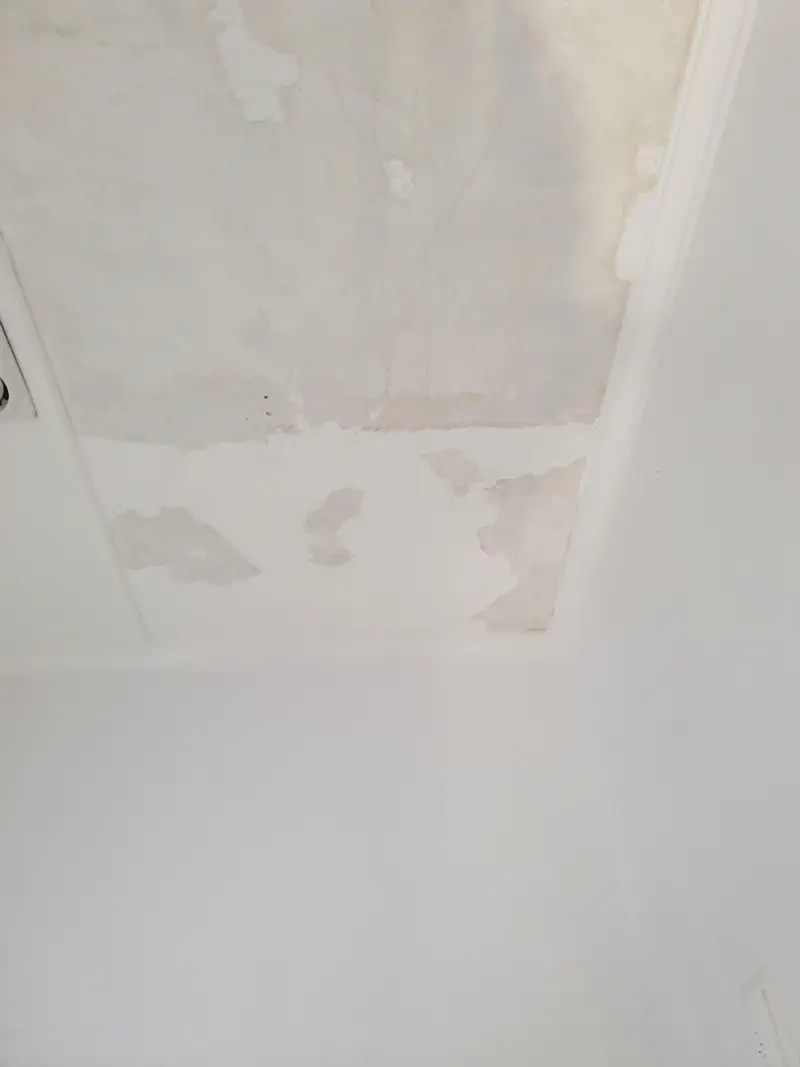 white ceiling painter toowoomba white ceiling painter toowoomba