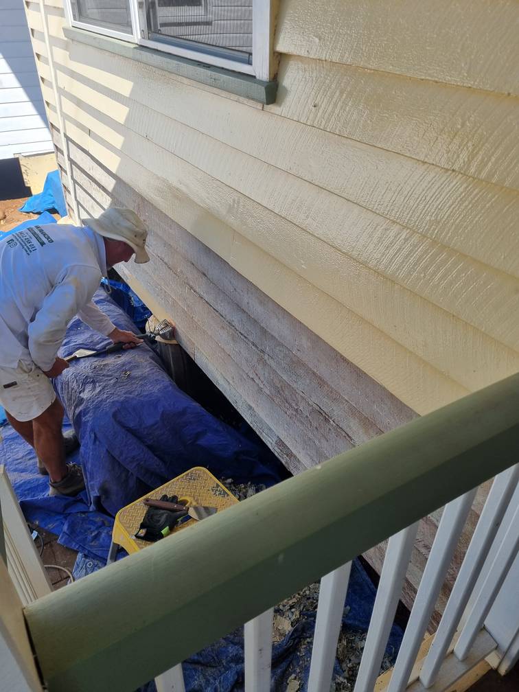 complete house painting job march 2025 16 complete house painting job march 2025 16