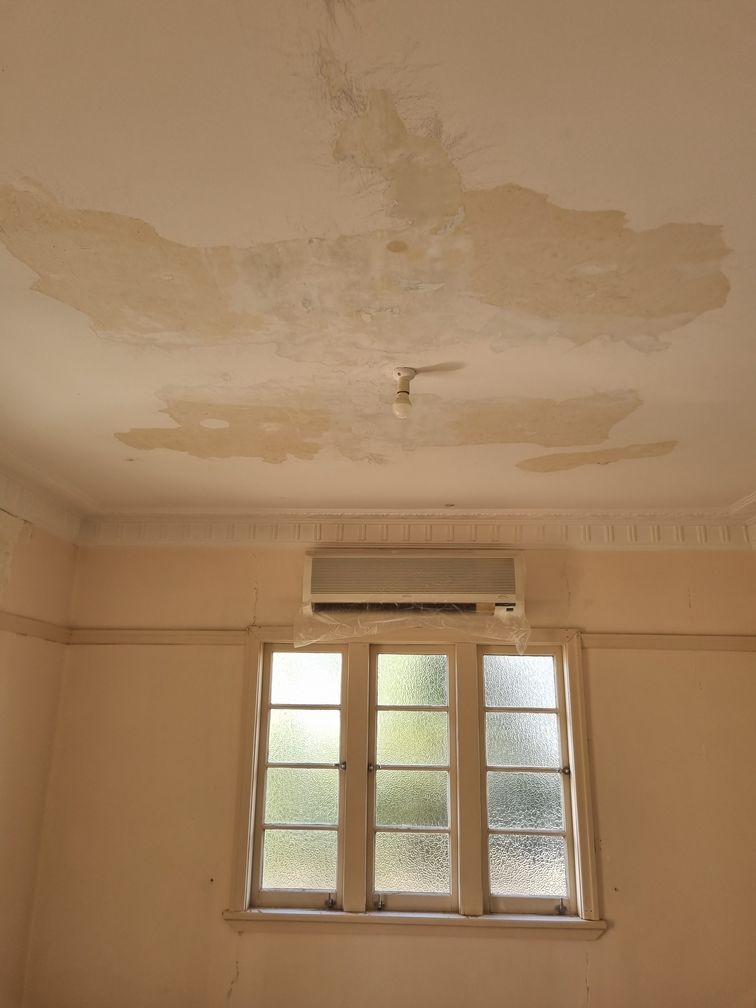 full white interior painting job 2025 22 full white interior painting job 2025 22