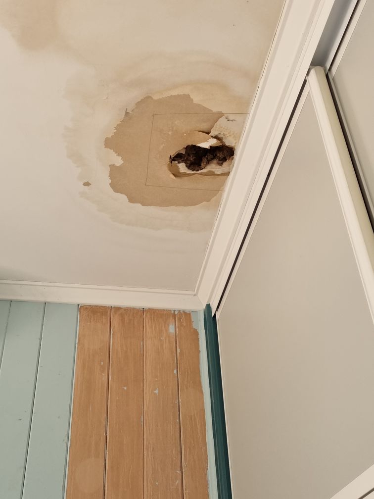 interior painting job 2025 18 interior painting job 2025 18