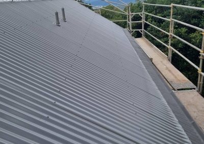 roof exterior painting march 2025 10