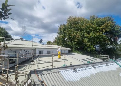 roof exterior painting march 2025 8