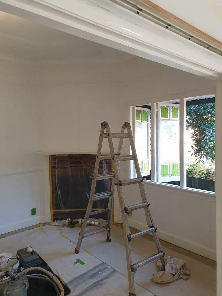 House Painters Toowoomba Ladder for Repainting